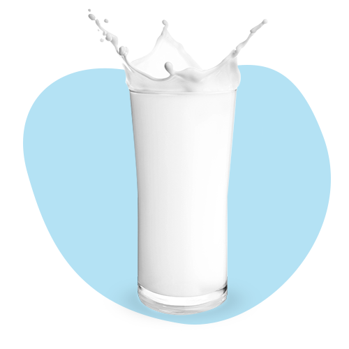 Milk and Milk Derivatives